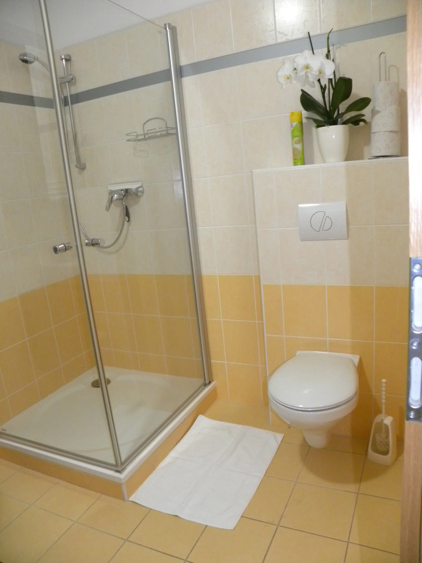 Apartmány Vlčková